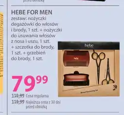 Hebe Zestaw do stylizacji Hebe oferta