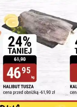 bi1 Halibut tusza oferta