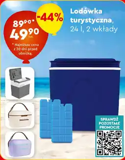 Biedronka Lodówka turystyczna + wkłady oferta