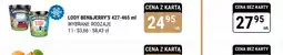 bi1 Lody Ben&Jerry's oferta