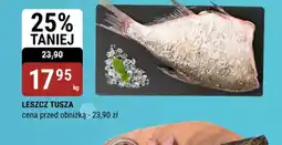 bi1 Leszcz tusza oferta