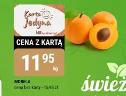bi1 Morela oferta