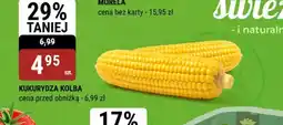 bi1 Kukurydza kolba oferta