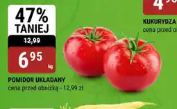 bi1 Pomidor układany oferta