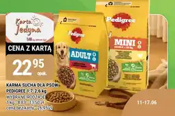 bi1 Karma sucha dla psów Pedigree oferta