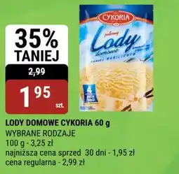 bi1 Lody Domowe Cykoria oferta