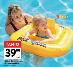 Intermarche Kółko do pływania 79 x cm Intex oferta