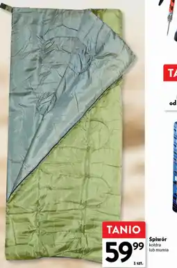 Intermarche Spiwór mumia oferta