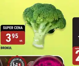 bi1 Brokuł oferta