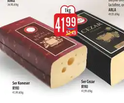 MOKPOL Ser Koneser Ryki oferta