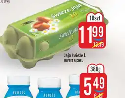 MOKPOL Jaja świeże L Invest Michel oferta