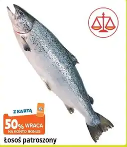 E.Leclerc Łosoś patroszony oferta