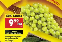 Biedronka Winogrono jasne bezpestkowe na wagę oferta