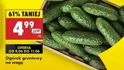 Biedronka Ogórek gruntowy na wage oferta