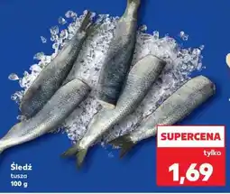 Kaufland Śledź tusza oferta