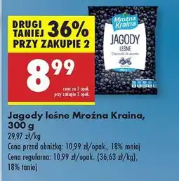 Biedronka Jagody leśne Mroźna Kraina 300 g oferta