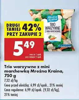 Biedronka Trio warzywne z mini marchewką Mroźna Kraina 750 g oferta