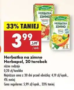Biedronka Herbatka na zimno Herbapol, 20 torebek oferta