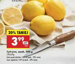 Biedronka Cytryna opak . 500 g oferta