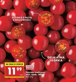 Biedronka Pomidor malinowy mini opak . 300 g oferta