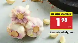 Biedronka Czosnek młody szt oferta
