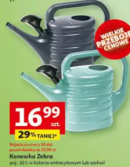 Auchan Konewka 10L oferta