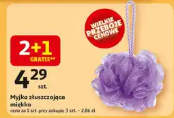 Auchan Myjka oferta