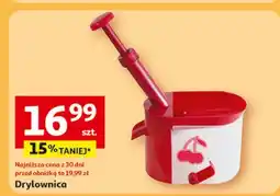 Auchan Drylownica do owoców oferta