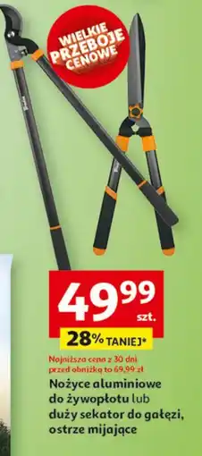 Auchan Sekator do gałęzi Bardas oferta