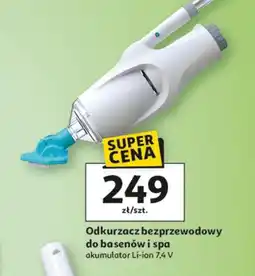 Auchan Odkurzacz do basenu oferta