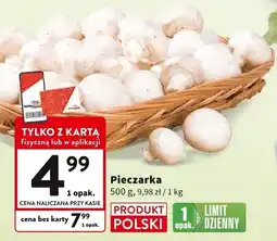 Intermarche Pieczarka 500g Intermarche oferta