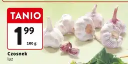 Intermarche Czosnek luz 100g Intermarche oferta