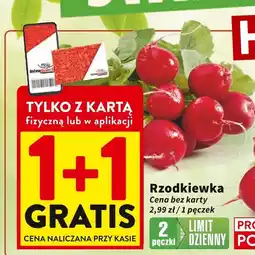 Intermarche Rzodkiewka 1 pęczek Intermarche oferta