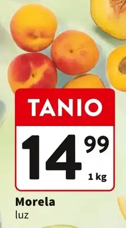 Intermarche Morela luz 1kg Intermarche oferta