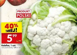 Twój Market Kalafior 1 szt. Twój Market oferta