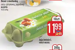 MOKPOL Jaja Invest Michel oferta