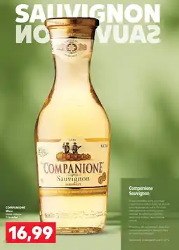Kaufland Wino Companione Sauvignon oferta