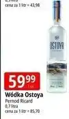 E.Leclerc Wódka Ostoya Vodka oferta