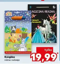 Kaufland Kotki oferta