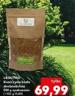 Kaufland Koniczyna biała drobnolistna W. Legutko oferta