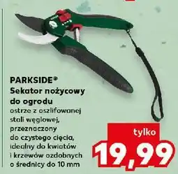 Kaufland Sekator ogrodowy nożycowy Parkside oferta