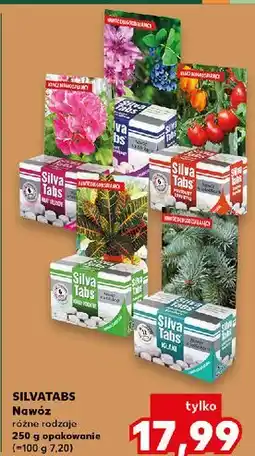 Kaufland Nawóz w tabletkach do roślin balkonowych Silva Tabs oferta