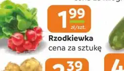 Społem Częstochowa Rzodkiewka oferta