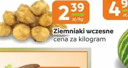 Społem Częstochowa Ziemniaki wczesne oferta