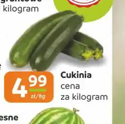 Społem Częstochowa Cukinia oferta