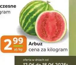 Społem Częstochowa Arbuz oferta