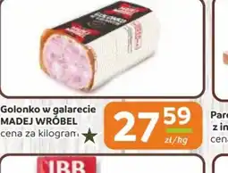 Społem Częstochowa Golonko w galarecie Madej Wróbel oferta