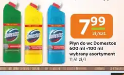 Społem Częstochowa Płyn do wc Domestos oferta