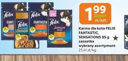 Społem Częstochowa Karma dla kota Felix oferta