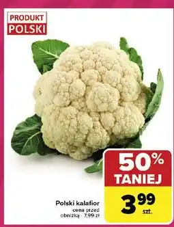 Carrefour Kalafior polska oferta